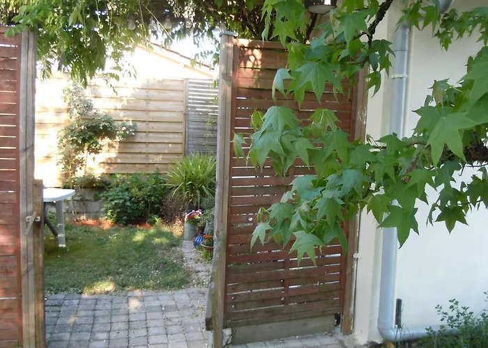 Wisteria * 에이진느